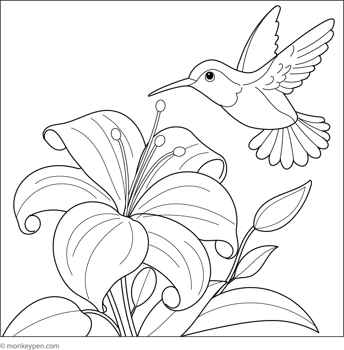 Hummingbirds Coloring Page - Download Free Printables
